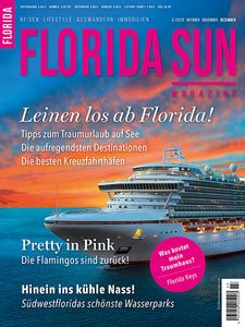 Print-Magazin Geschenkabonnement